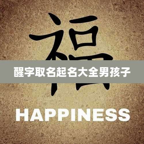 醒字取名起名大全男孩子