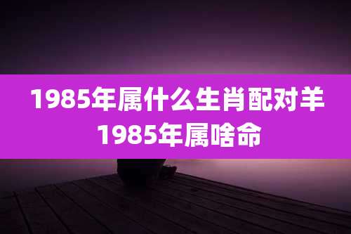 1985年属什么生肖配对羊 1985年属啥命