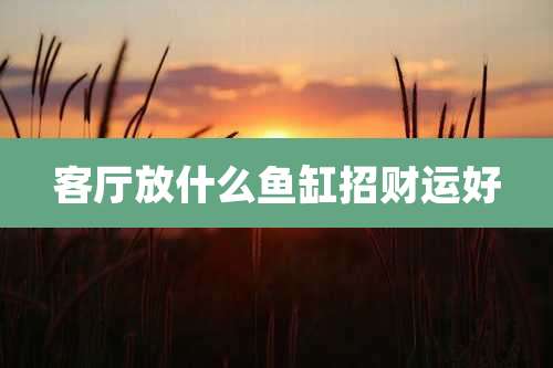 客厅放什么鱼缸招财运好