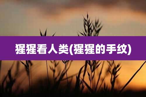 猩猩看人类(猩猩的手纹)