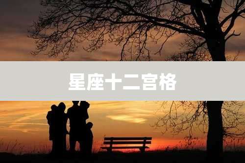 星座十二宫格
