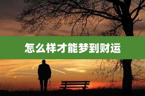 怎么样才能梦到财运