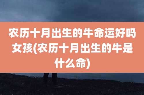 农历十月出生的牛命运好吗女孩(农历十月出生的牛是什么命)