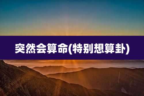 突然会算命(特别想算卦)