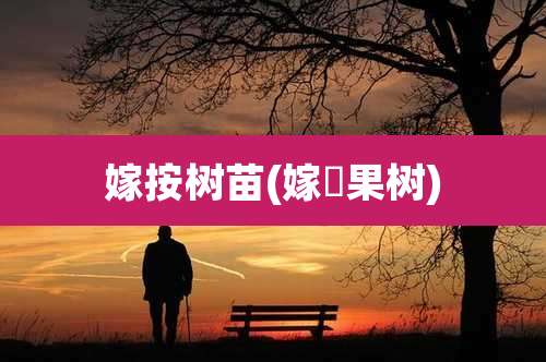 嫁按树苗(嫁椄果树)