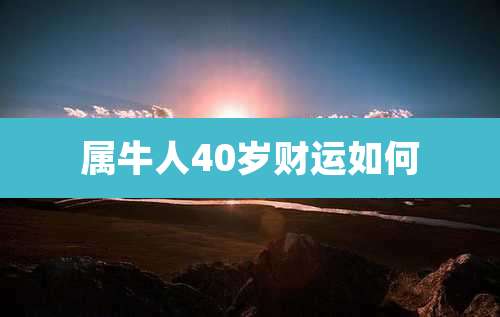 属牛人40岁财运如何