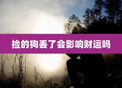 捡的狗丢了会影响财运吗