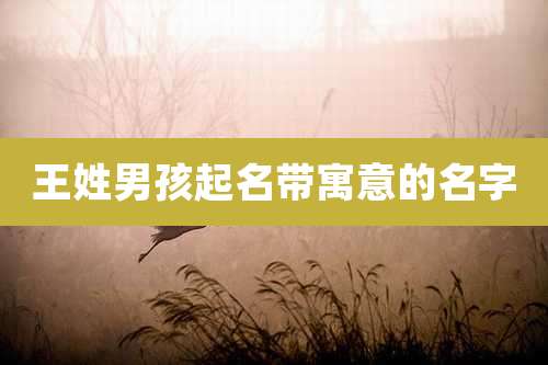 王姓男孩起名带寓意的名字