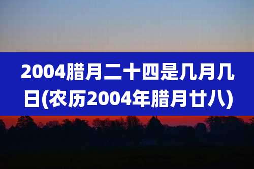 2004腊月二十四是几月几日(农历2004年腊月廿八)