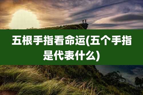 五根手指看命运(五个手指是代表什么)