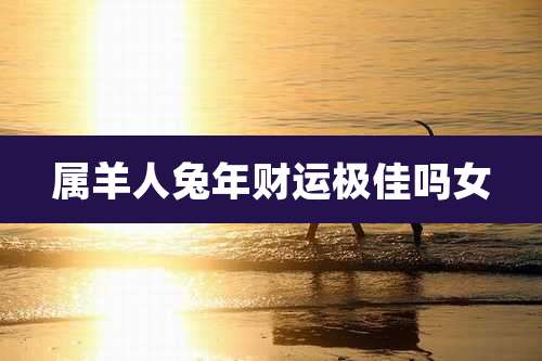 属羊人兔年财运极佳吗女