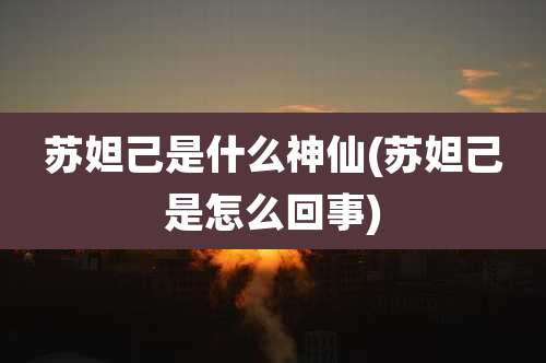 苏妲己是什么神仙(苏妲己是怎么回事)