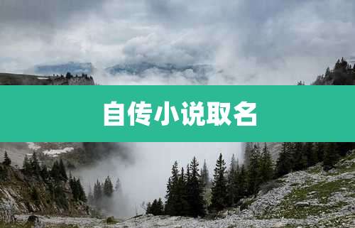 自传小说取名