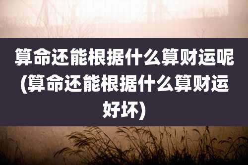算命还能根据什么算财运呢(算命还能根据什么算财运好坏)