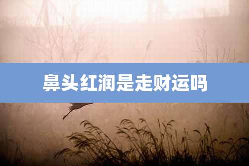 鼻头红润是走财运吗
