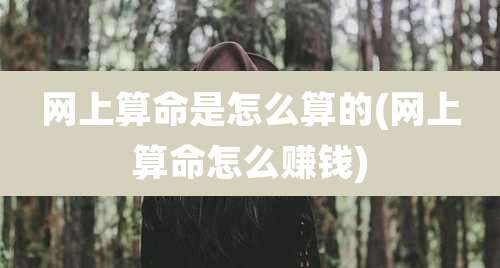 网上算命是怎么算的(网上算命怎么赚钱)