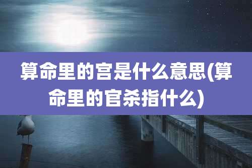 算命里的宫是什么意思(算命里的官杀指什么)