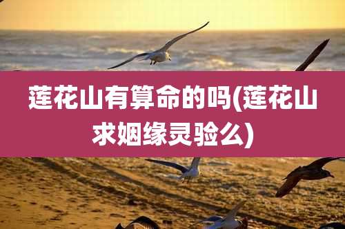莲花山有算命的吗(莲花山求姻缘灵验么)