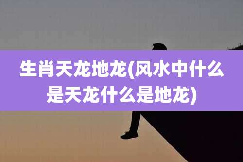 生肖天龙地龙(风水中什么是天龙什么是地龙)