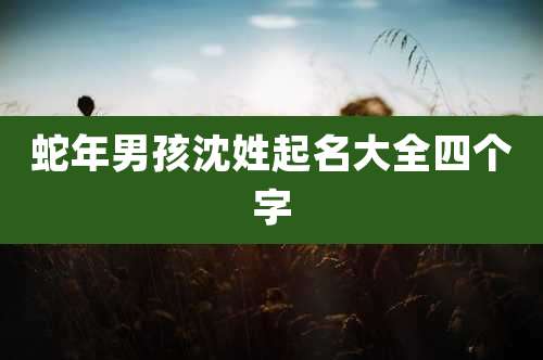 蛇年男孩沈姓起名大全四个字