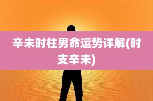 辛未时柱男命运势详解(时支辛未)