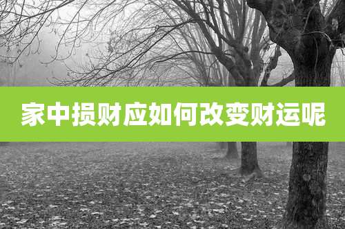 家中损财应如何改变财运呢