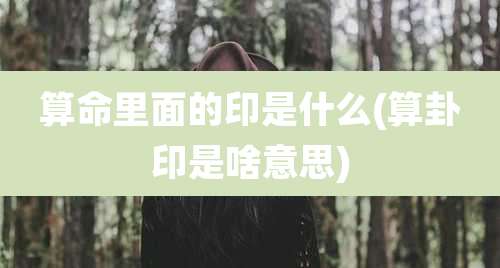 算命里面的印是什么(算卦印是啥意思)