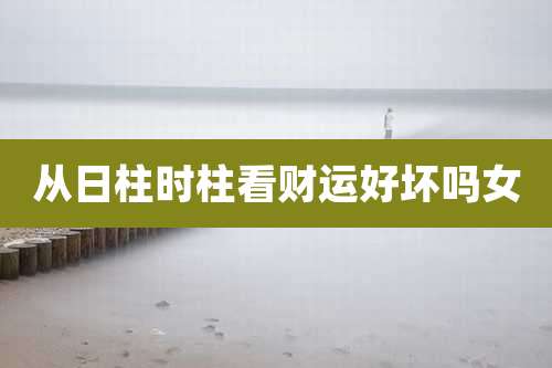 从日柱时柱看财运好坏吗女