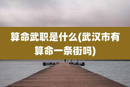 算命武职是什么(武汉市有算命一条街吗)