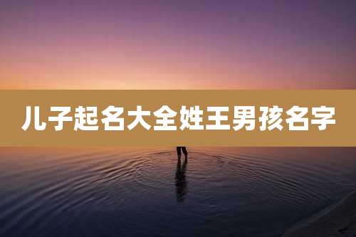 儿子起名大全姓王男孩名字