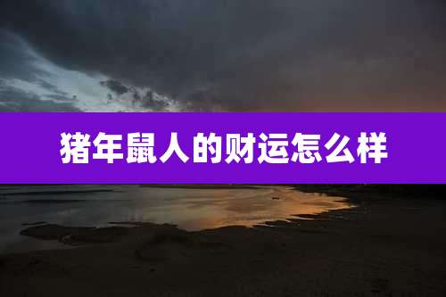 猪年鼠人的财运怎么样