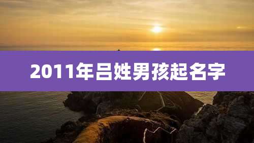 2011年吕姓男孩起名字