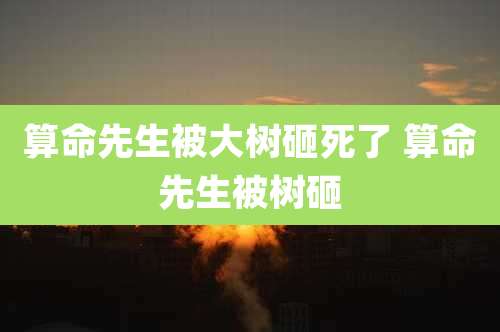 算命先生被大树砸死了 算命先生被树砸