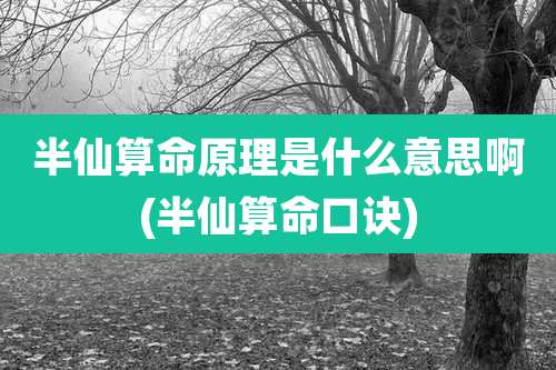 半仙算命原理是什么意思啊(半仙算命口诀)