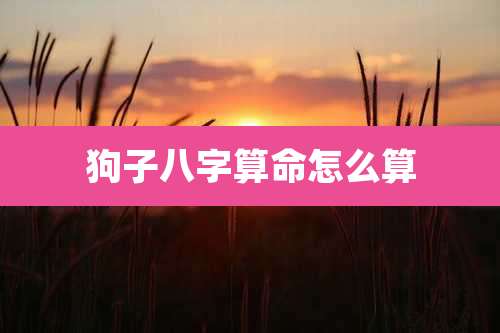 狗子八字算命怎么算