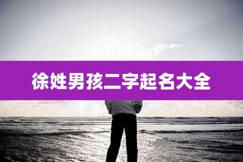 徐姓男孩二字起名大全