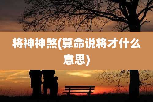将神神煞(算命说将才什么意思)