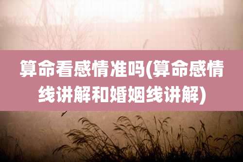 算命看感情准吗(算命感情线讲解和婚姻线讲解)