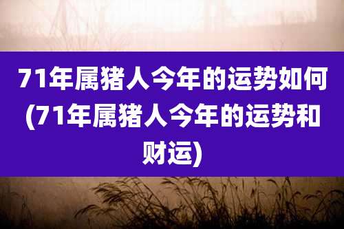 71年属猪人今年的运势如何(71年属猪人今年的运势和财运)