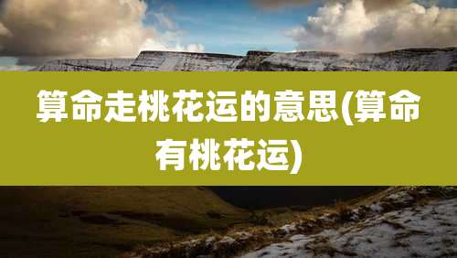 算命走桃花运的意思(算命有桃花运)
