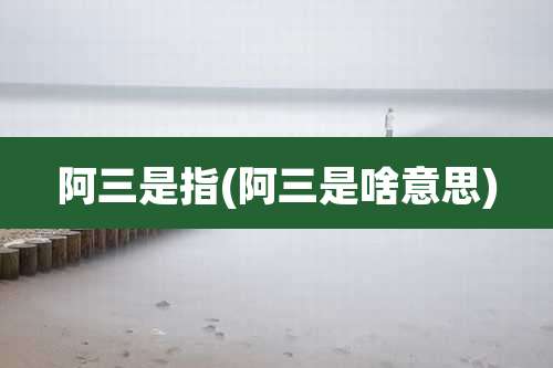阿三是指(阿三是啥意思)
