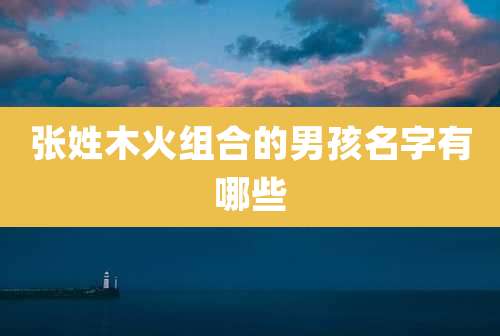 张姓木火组合的男孩名字有哪些