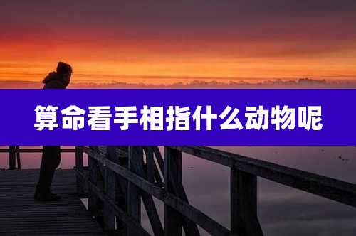 算命看手相指什么动物呢
