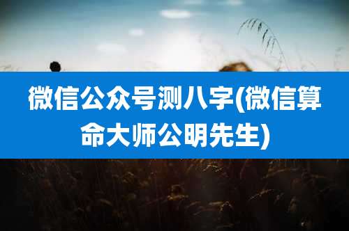 微信公众号测八字(微信算命大师公明先生)