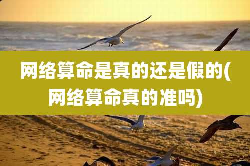 网络算命是真的还是假的(网络算命真的准吗)