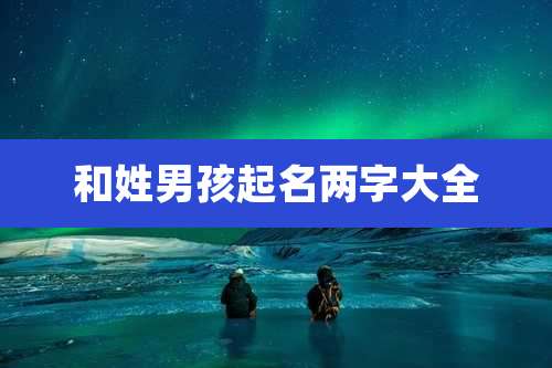 和姓男孩起名两字大全
