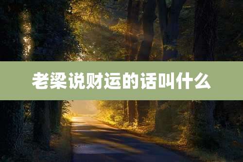 老梁说财运的话叫什么