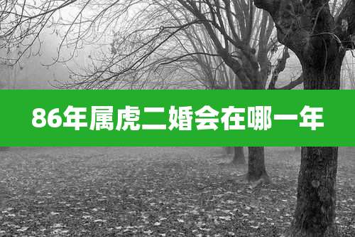 86年属虎二婚会在哪一年