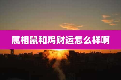 属相鼠和鸡财运怎么样啊