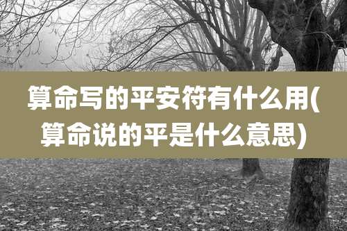 算命写的平安符有什么用(算命说的平是什么意思)